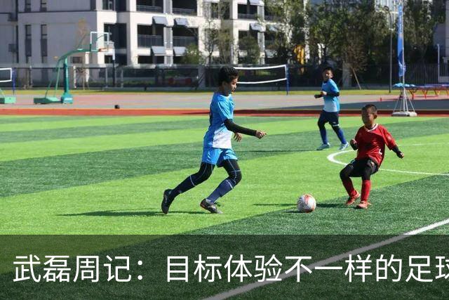 武磊周记：目标体验不一样的足球 这是追寻的意义
